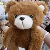 plthanhthao26_1