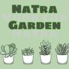 natra23499