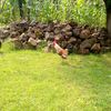 mrgriculture