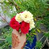 sabina_afrin83
