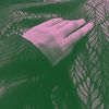 auusthetics_
