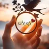 شمس