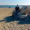 tino.ferraiuolo