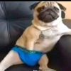 goobka6