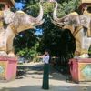 aung.162025