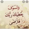 user31794819857451