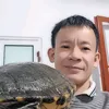 tu.oanh.di.ng