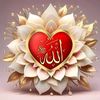 misesSarminAktar016