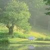 pngo_70