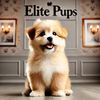 elitepups
