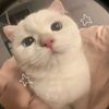 lily_23056