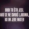 mulhousemb