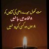 amir.99939