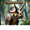 jacksontci.apex1