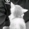 samishh_7