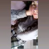 micaelatomatis4