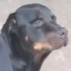 arthurmusic8