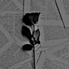 user48017694018614