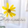 am_ntr