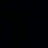 user15831900156100