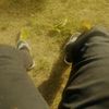 cesarfalla09