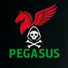 pegasus.kurd