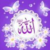 user906341613517