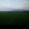 lituhayu_943126385193