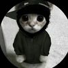 kleiver0001