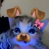 alltha_28