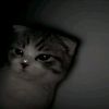 dark_hlow