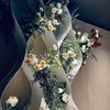mingsimingsi8