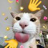 tigerdump.18