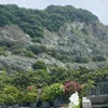 thuyduong26098