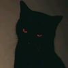 pw_stiven