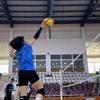 dilannoogil