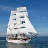 cansa456