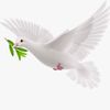 hoda_rashad6