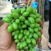 riyanbmj5
