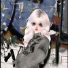 nazz_fh