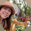 hng.lc.mi.ngy.binh
