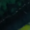 jay_j64