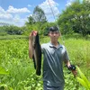 trumcauca_0601