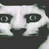 omarlghazi2