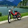 daniel_schatt11