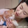 cutepet02a