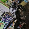 bangden877693119235
