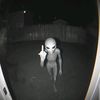 Mista👽