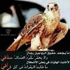 user5304015956106