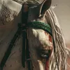 nabaa.mohammed31